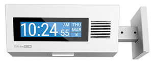 AtlasIED Double-sided Endpoint IP-DDS